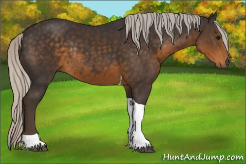 Horse Color:Silver Smoky Black Tobiano Rabicano