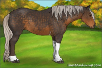 Horse Color:Silver Smoky Black Tobiano Rabicano 