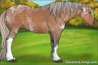 Horse Color:Silver Buckskin Ice 