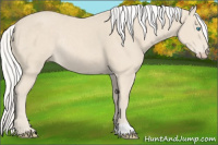 Horse Color:Silver Smoky Creme Rabicano 