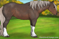 Horse Color:Silver Black Tobiano Rabicano