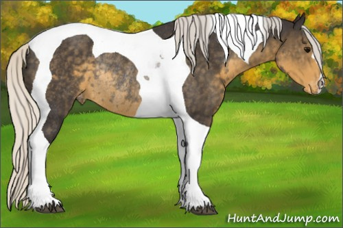 Horse Color:Silver Smoky Black Tobiano Varnish Rabicano