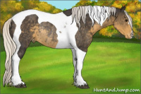 Horse Color:Silver Smoky Black Tobiano Varnish Rabicano 