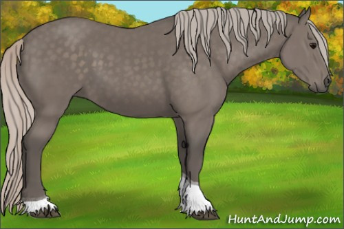 Horse Color:Silver Black Tobiano Rabicano 