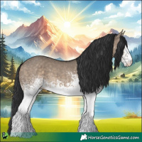 Horse Color:White Spotted Brown Dun 