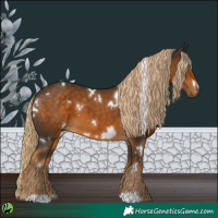 Horse Color:White Spotted Chocolate Palomino 