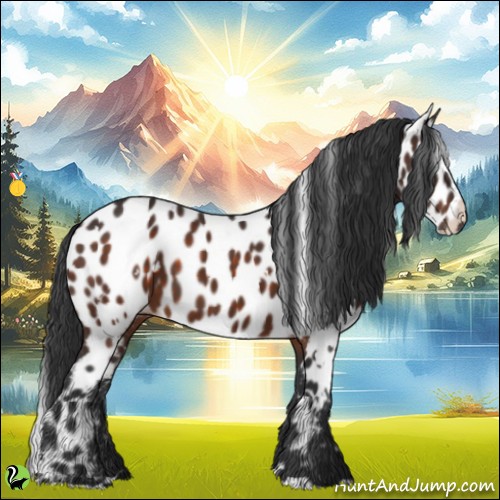 Horse Color:White Spotted Brown Appaloosa 