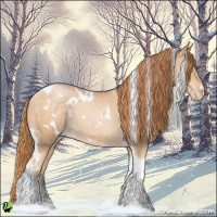 Horse Color:White Spotted Buckskin Pearl Tobiano 