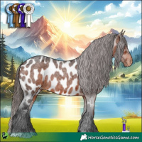 Horse Color:Brown Roan Near Leopard 