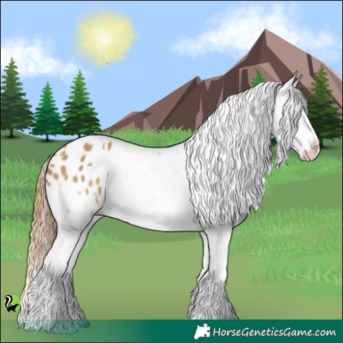 Horse Color:White Spotted Sable Cream Champagne Splash Appaloosa 