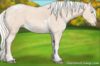 Horse Color:Silver Perlino Ice Tobiano 