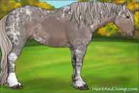 Horse Color:Silver Black Ice Tobiano Rabicano