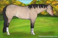 Horse Color:Brown Dun Rabicano 