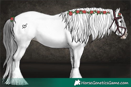 Horse Color:White Spotted Brown Splash