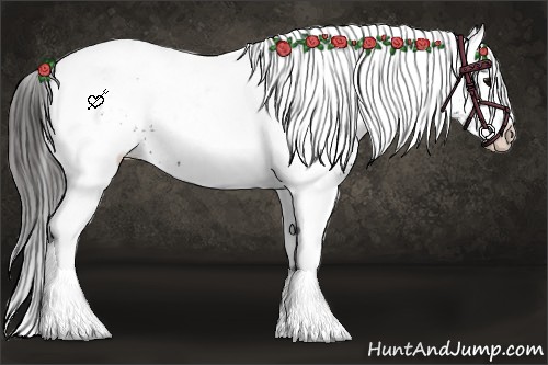 Horse Color:White Spotted Smoky Black