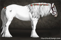 Horse Color:White Spotted Smoky Black