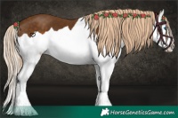 Horse Color:Chocolate Palomino Splash 
