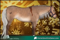 Horse Color:Silver Brown Dun 