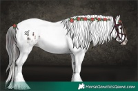 Horse Color:Plaid  White Spotted Brown Splash Tobiano Near Leopard 