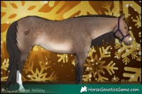 Horse Color:Brown Dun 