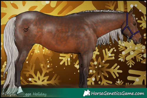 Horse Color:Silver Brown 