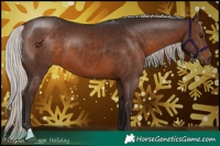 Horse Color:Silver Brown 