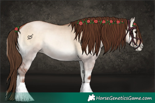 Horse Color:Brown Pearl Onyx