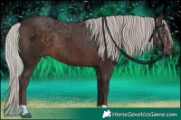Horse Color:Silver Brown 
