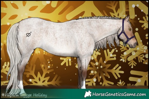 Horse Color:Silver Brown Roan Dun 