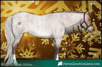 Horse Color:Silver Brown Roan Dun 
