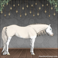Horse Color:Perlino Dun Splash 