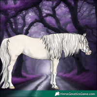 Horse Color:Cremello Dun Splash 