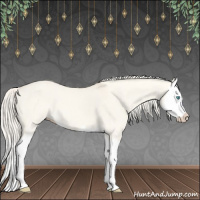 Horse Color:Cremello Dun Splash 