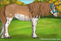 Horse Color:Chestnut Splash Frame  and Chestnut Splash Frame 