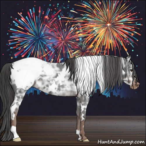 Horse Color:White Spotted Liver Chestnut Ice Appaloosa 