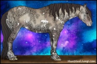 Horse Color:White Spotted Classic Champagne Ice Onyx Rabicano 