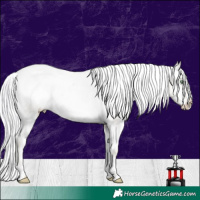 Horse Color:Watercolor White Spotted Gold Champagne Mushroom Appaloosa Rabicano