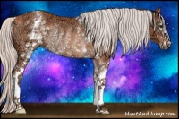 Horse Color:White Spotted Silver Brown Ice Rabicano 