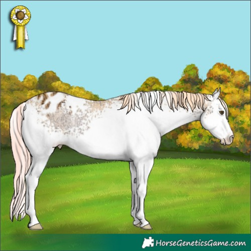 Horse Color:Watercolor White Spotted Gold Champagne Ice Onyx Varnish Rabicano 