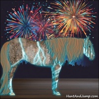 Horse Color:Thunderstruck Chestnut Ice Rabicano 