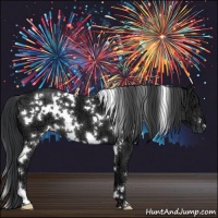 Horse Color:White Spotted Black Ice 