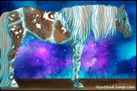 Horse Color:Thunderstruck White Spotted Chestnut Ice 