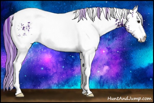 Horse Color:Watercolor White Spotted Black Ice Appaloosa 
