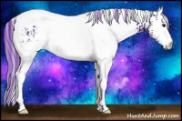 Horse Color:Watercolor White Spotted Black Ice Appaloosa 