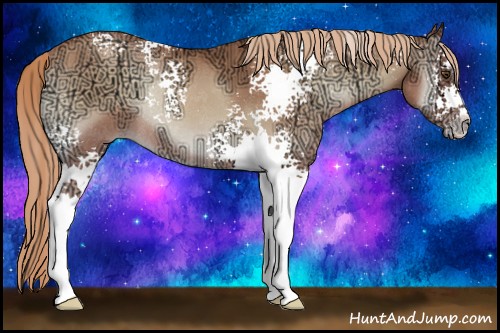 Horse Color:White Spotted Gold Champagne Ice Onyx Rabicano 