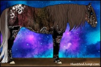 Horse Color:Bay Ice Splash Appaloosa 