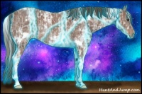 Horse Color:Thunderstruck White Spotted Liver Chestnut Ice Rabicano 