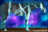 Horse Color:Thunderstruck Black Ice Rabicano 