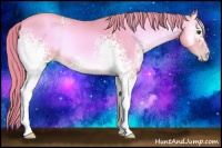 Horse Color:Watercolor White Spotted Gold Champagne Onyx 