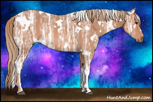 Horse Color:White Spotted Chestnut Ice Rabicano 